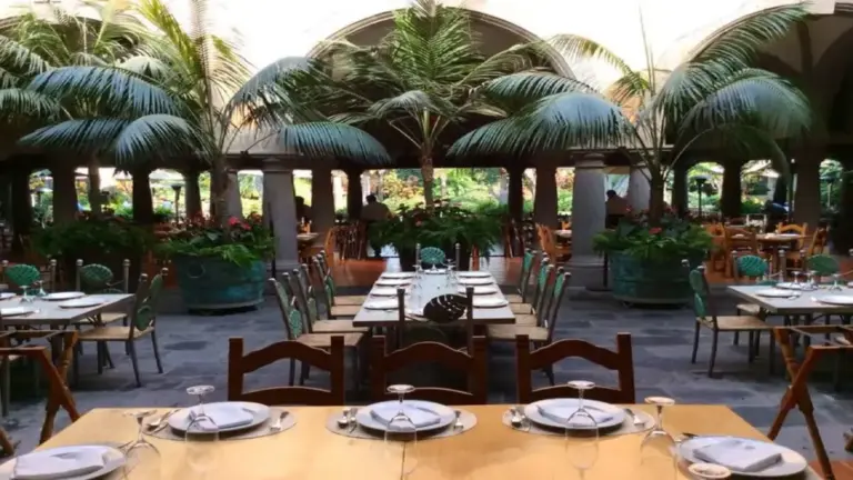 desayuno tradicional servido en terraza con jardines en Cuernavaca, con pan, fruta y café
