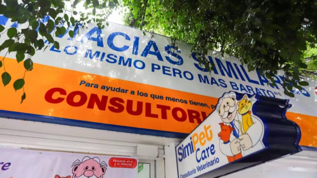 Veterinarios atienden perros y gatos en la nueva clínica Simi Pet Care de Cuernavaca con servicios médicos accesibles