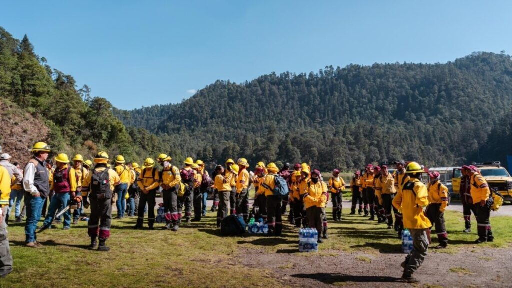 Brigadistas trabajando en Lagunas de Zempoala para prevenir incendios y proteger el Bosque de Agua