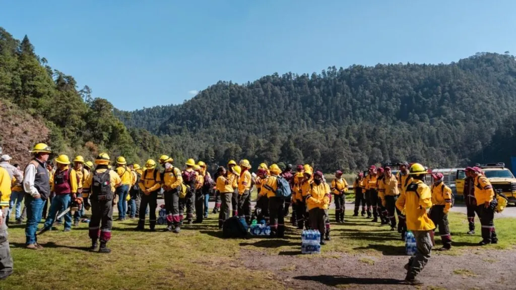 Brigadistas trabajando en Lagunas de Zempoala para prevenir incendios y proteger el Bosque de Agua