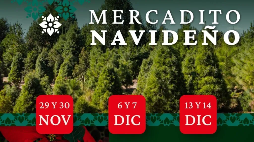 Mercadito Navideño con árboles naturales y productos sustentables en un parque de Morelos