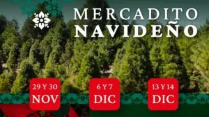 Mercadito Navideño con árboles naturales y productos sustentables en un parque de Morelos