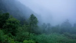 Personal de Protección Civil en Morelos prepara operativos ante los 45 frentes fríos previstos para la temporada invernal.