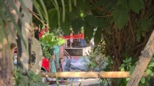 Muere familia tras volcadura de auto en canal de riego en Atlacomulco, Jiutepec, Morelos