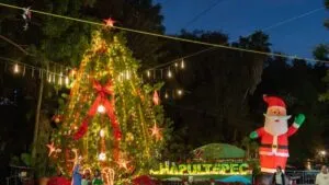 Parque Barranca de Chapultepec celebra el Festival de la Nochebuena con actividades familiares