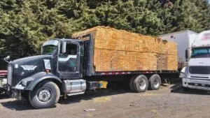 Operativo contra madera ilegal en autopista México Acapulco en Cuernavaca