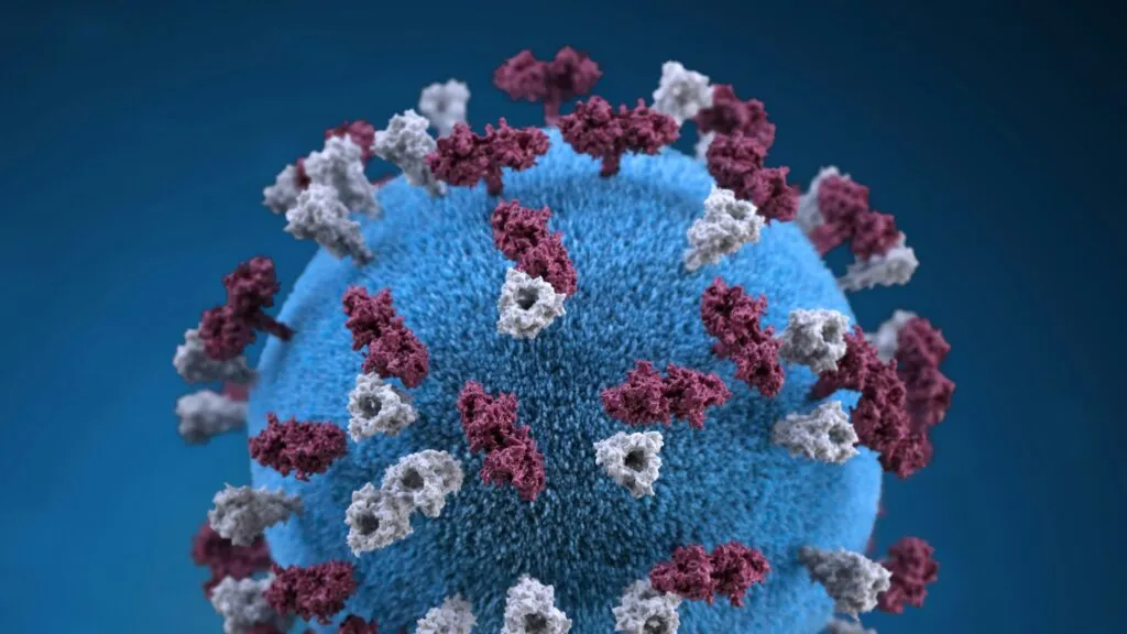 Brote de sarampión en México con vacunación infantil reforzada en siete estados con mayor número de casos