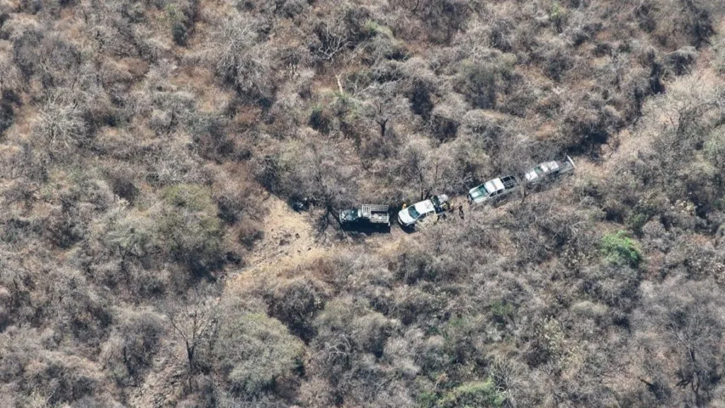 Incendio en zona forestal de Tepoztlán Morelos detectado durante labores de vigilancia ambiental.