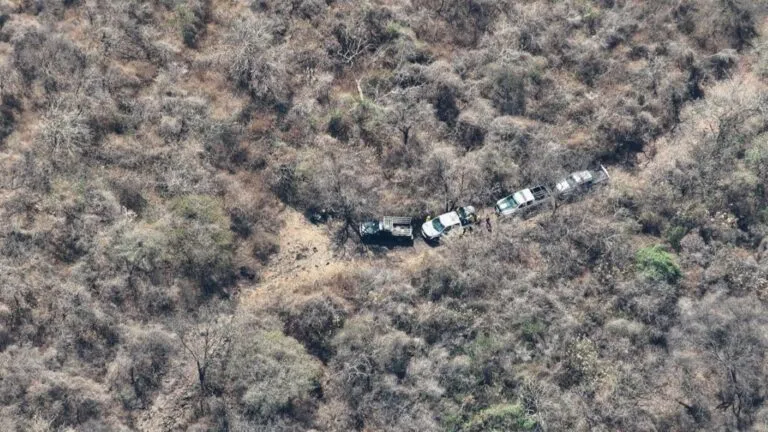 Incendio en zona forestal de Tepoztlán Morelos detectado durante labores de vigilancia ambiental.