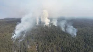 Brigadistas combaten incendio forestal en Tlalnepantla Morelos con apoyo de drones y brigadas forestales