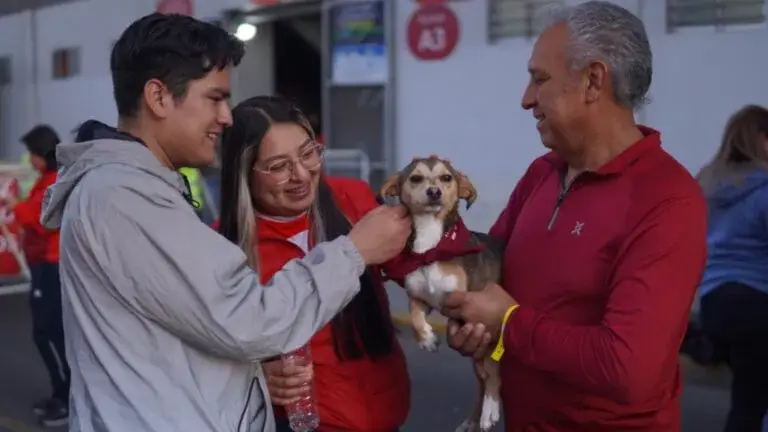 adopción de mascotas en estadio con lomitos y michis conviviendo con personas en jornada de bienestar animal