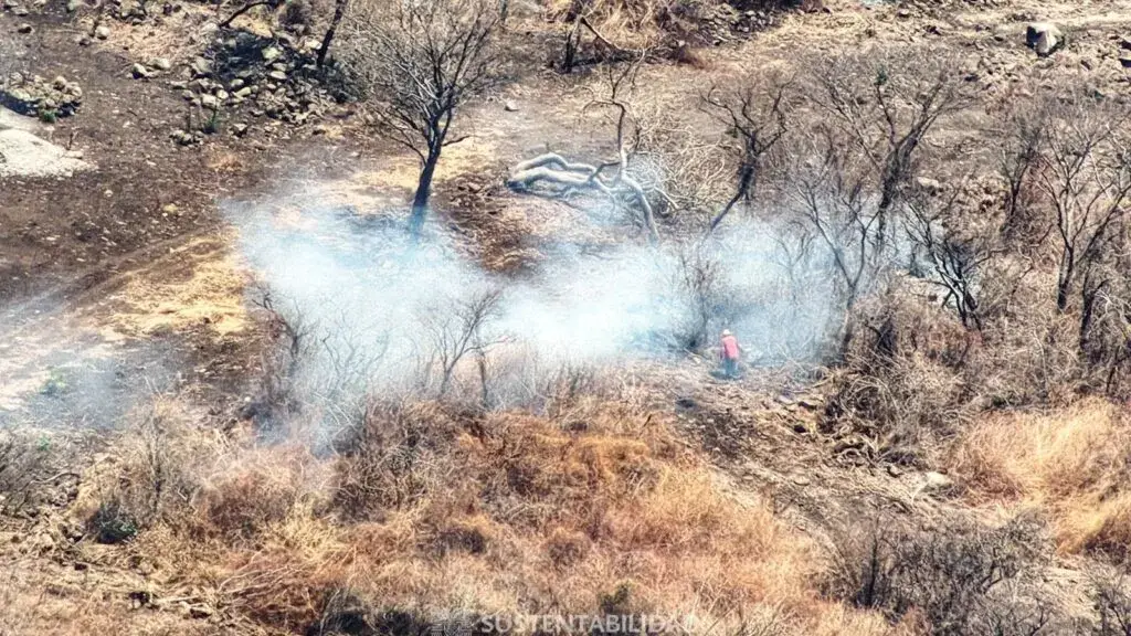 Jojutla enfrenta más de 28 incendios forestales durante estiaje provocados por quema de maleza y limpieza de terrenos