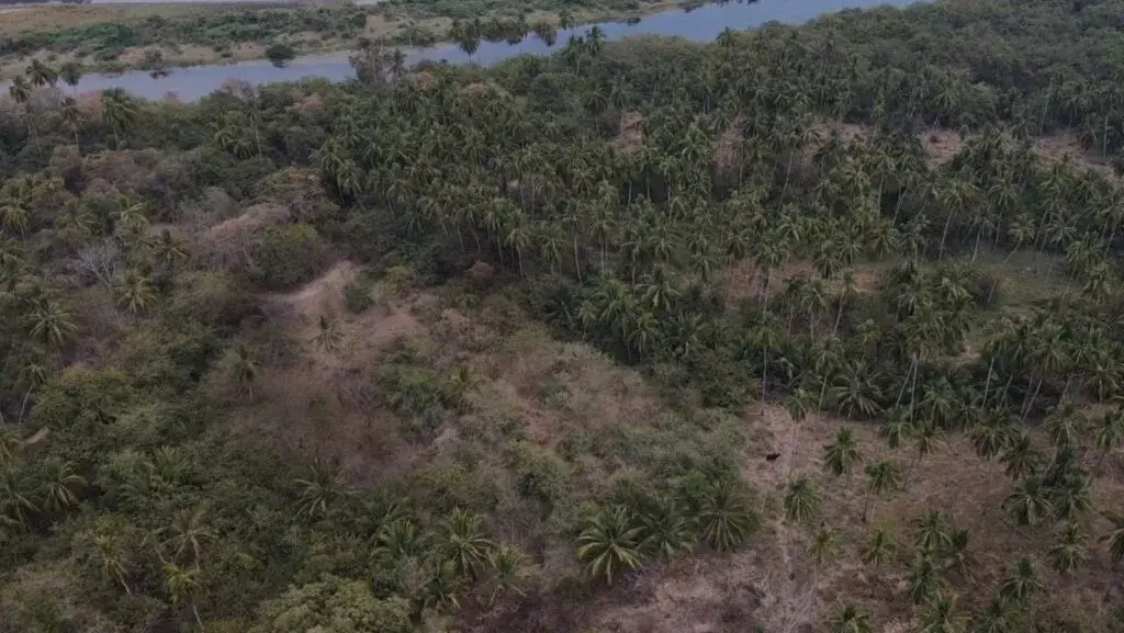 El INAH registró nuevos sitios arqueológicos en la Costa Grande de Guerrero para proteger el patrimonio cultural.