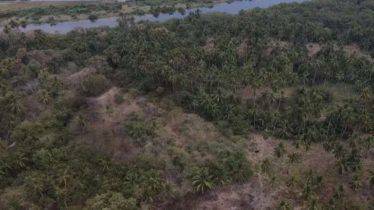 El INAH registró nuevos sitios arqueológicos en la Costa Grande de Guerrero para proteger el patrimonio cultural.