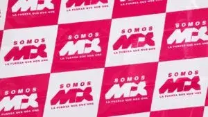 Morena pidió investigar el posible financiamiento de Somos México, el PAN y Marea Rosa.