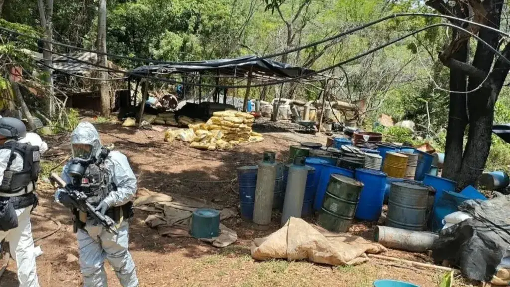 Laboratorios clandestinos desmantelados en Guerrero y Michoacán