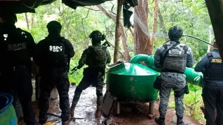 Laboratorios clandestinos de metanfetamina desmantelados en Guerrero