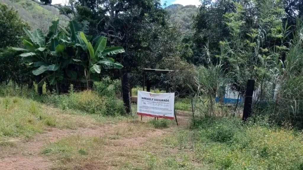 Autoridades procesan centro de exterminio localizado en Xalisco