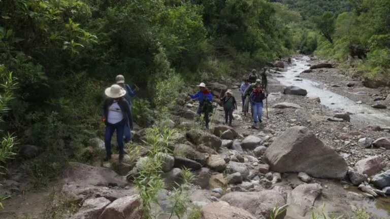 Restos humanos localizados durante una jornada de búsqueda de personas desaparecidas en Copanatoyac, Guerrero